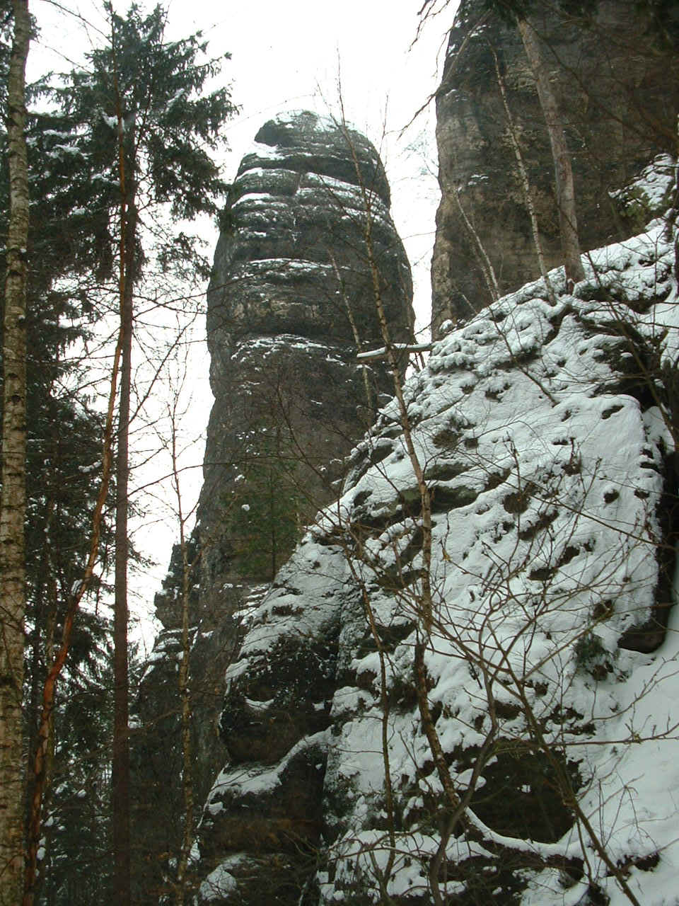 DSCF0002.JPG (330838 Byte)