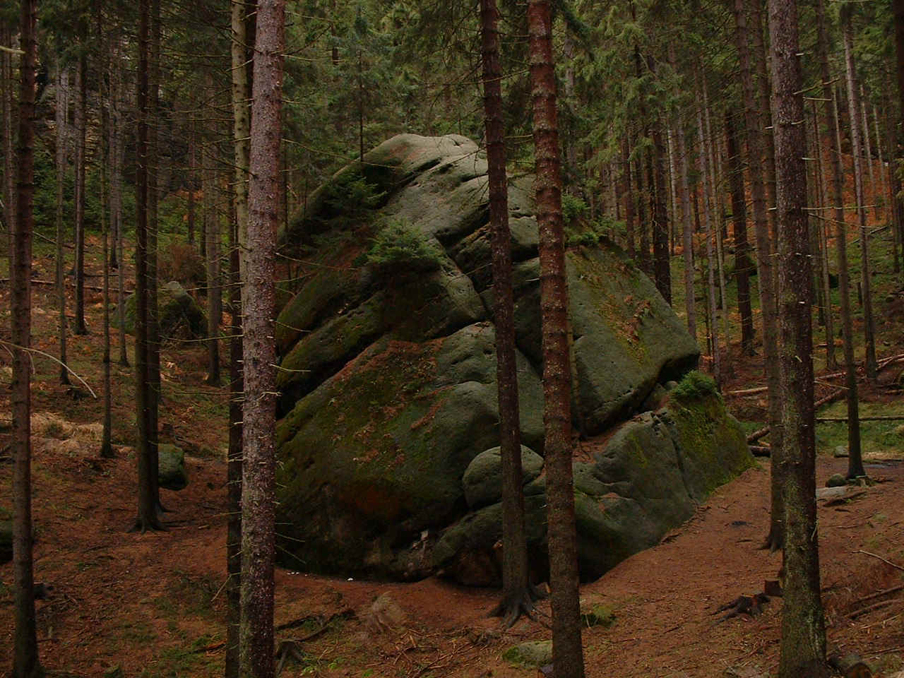 Der Gr�nling