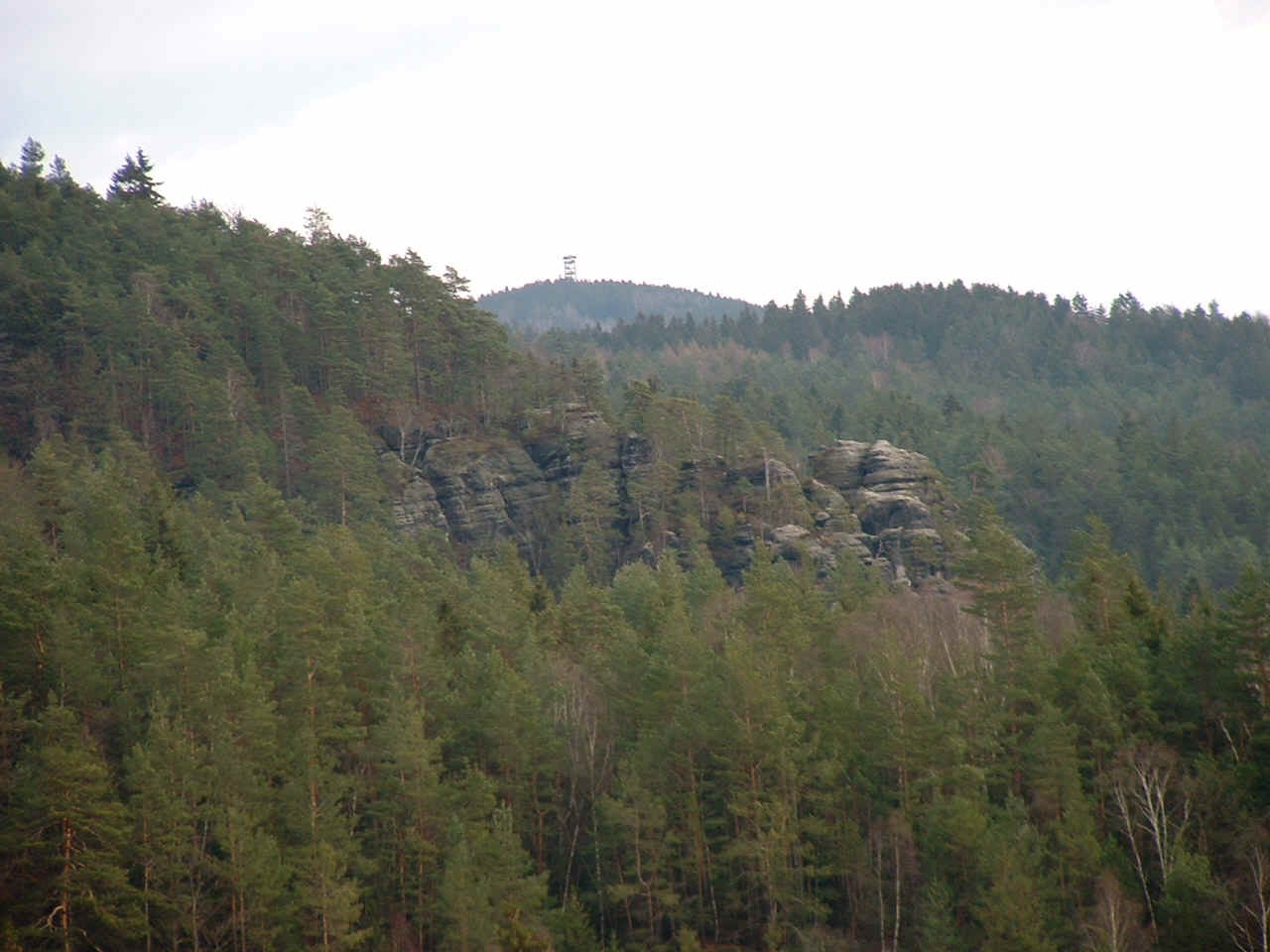 Im Hintergrund der Weifberg bei Hinterhermsdorf