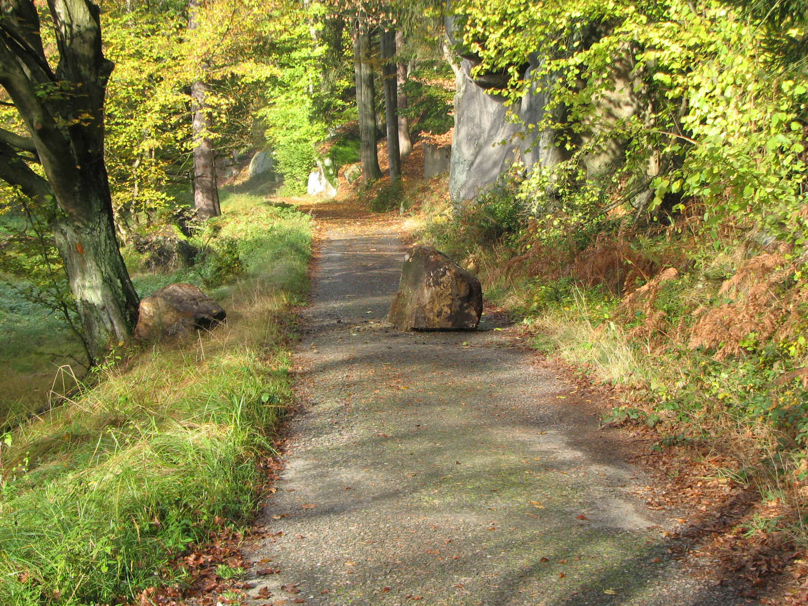 Felsbrocken auf dem Kirnitzschtalweg