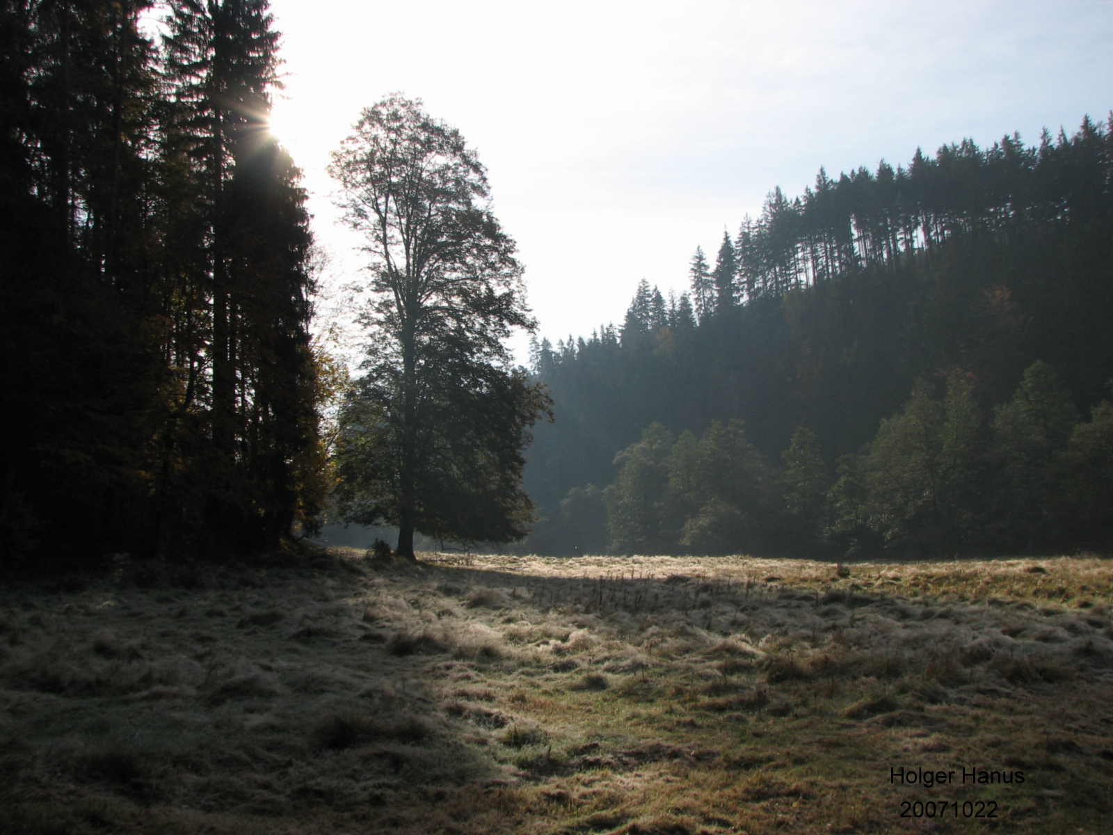 Im Kirnitzschtal bei Hinterdittersbach