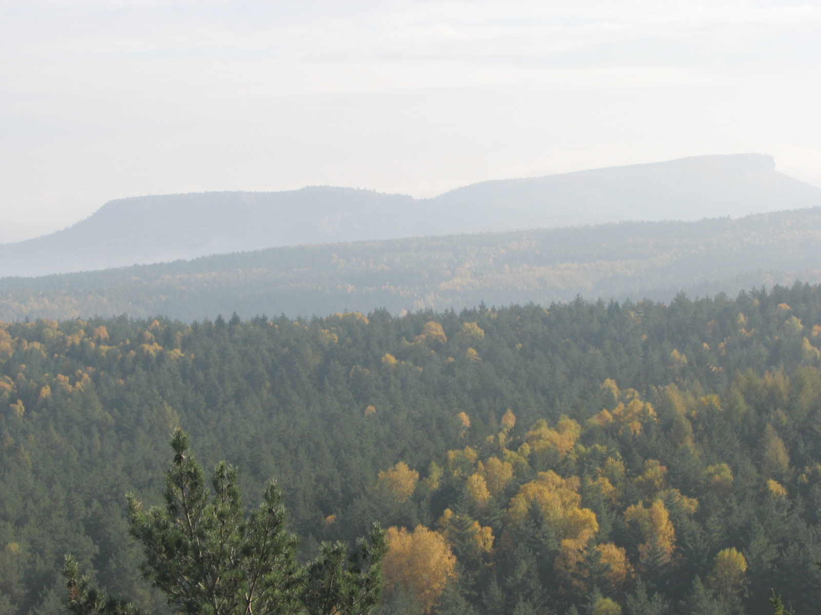 Blick zu den Zschirnsteinen