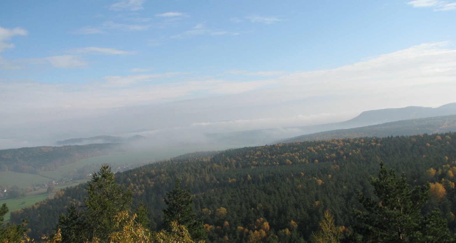 Nebel �ber dem Elbtal