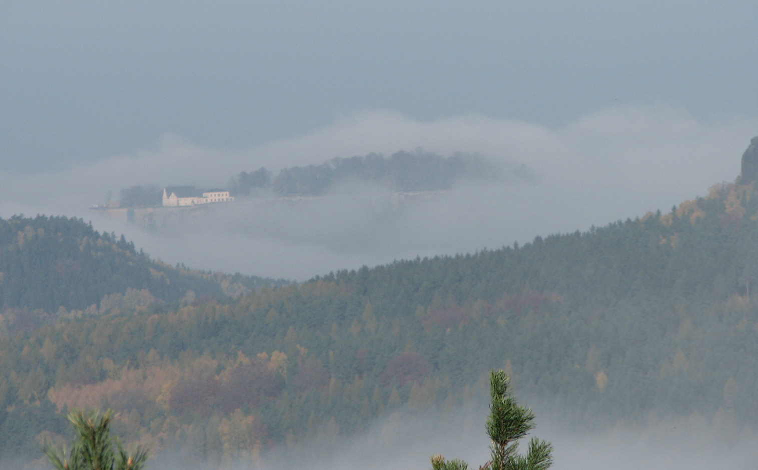 Der K�nigstein vom Nebel umgeben