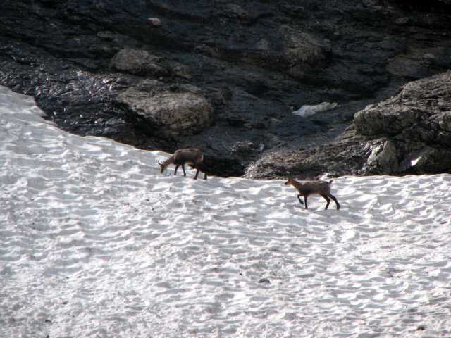 Wir sind nicht allein.