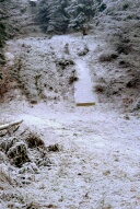 Die alte Schanze